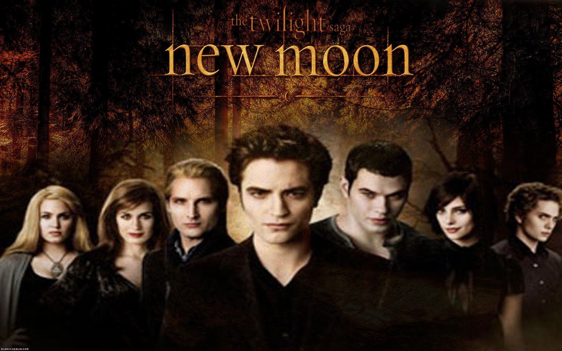 download twilight new moon download twilight new moon